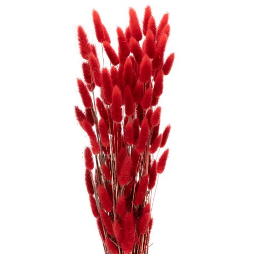 Sušený kytičný lagurus, dekorácia zo sušených kvetov, 70 cm, 100 g