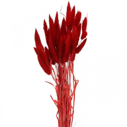 položky Dekoratívna tráva červená, lagurus, aksamietnica, suché kvetinárstvo L30–50cm 20g
