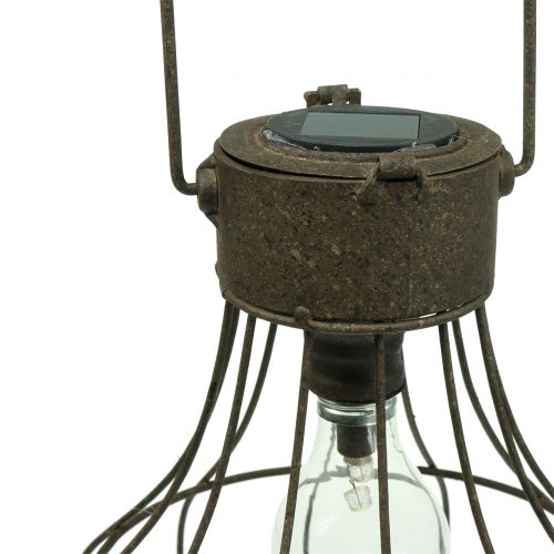 Floristik24 Deco lampa solárna Ø23,5cm V24cm