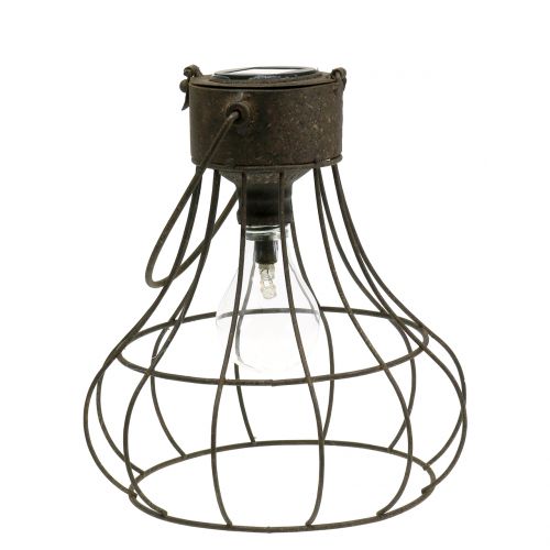 Floristik24 Deco lampa solárna Ø23,5cm V24cm