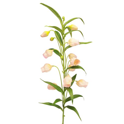 položky Lucerna Lily Umelý kvet Lily Marhuľa 90cm 2ks