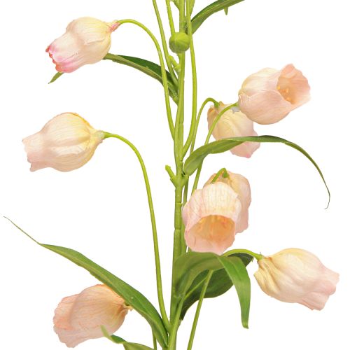 položky Lucerna Lily Umelý kvet Lily Marhuľa 90cm 2ks