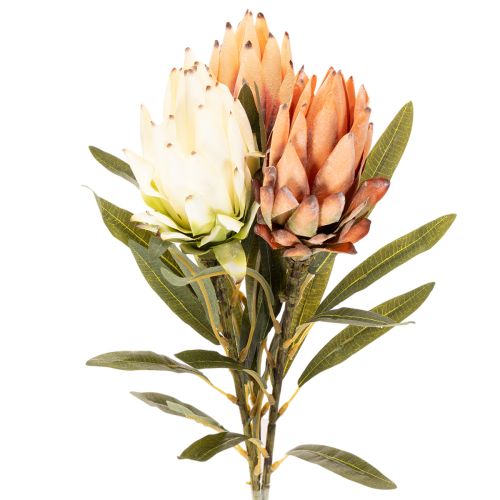 Umelý kvet protey Leucadendron s dlhou stonkou, 65 cm, 3 kusy