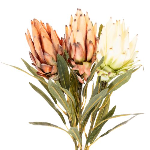 Umelý kvet protey Leucadendron s dlhou stonkou, 65 cm, 3 kusy | Floristik24.sk