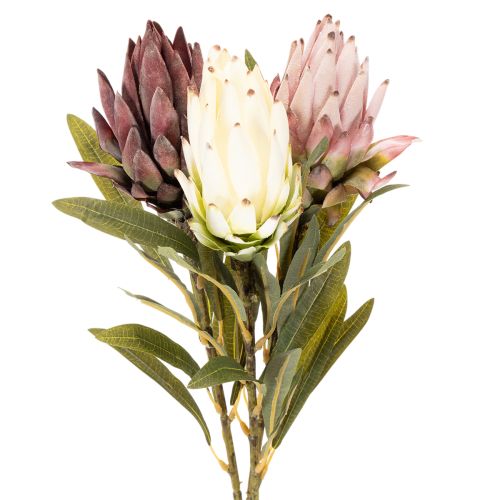 Umelý kvet Protea Leucadendron 100 cm 3 ks kúpiť | Floristik24.sk