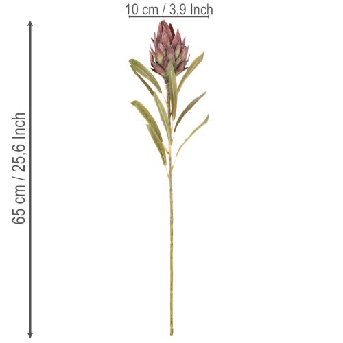 Umelý kvet Protea Leucadendron 100 cm 3 ks | Floristik24.sk