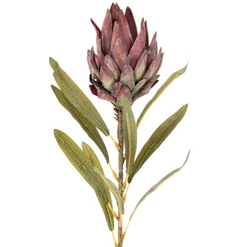 Umelý kvet Protea Leucadendron 100 cm 3 ks | Floristik24.sk