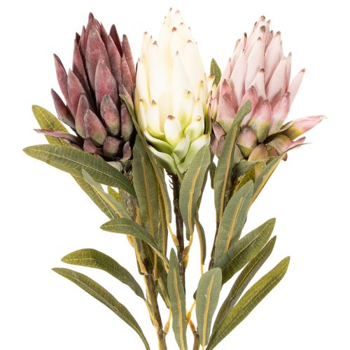 Umelý kvet Protea Leucadendron 100 cm 3 ks | Floristik24.sk