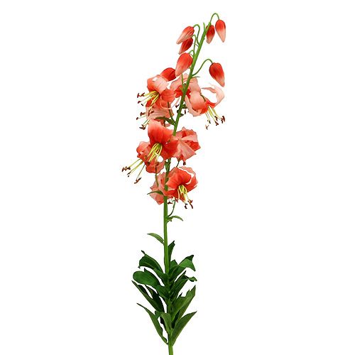 Floristik24 Lily 87,5 cm lososová