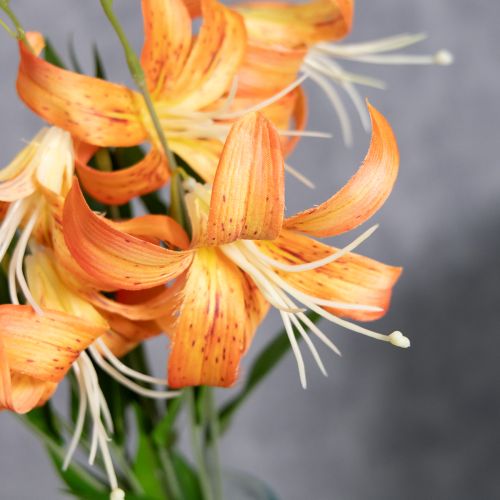 položky Umelé ľalie, dekorácia na svadby a iné udalosti, 77 cm, 4 kusy