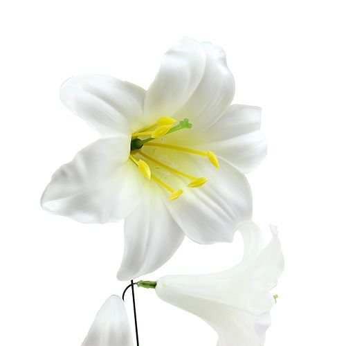 položky Ľalia na drôte stredná 25 ks