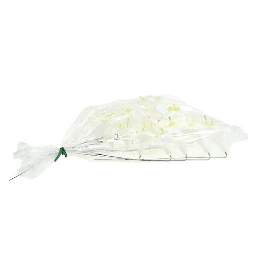 položky Ľalia na drôte stredná 25 ks