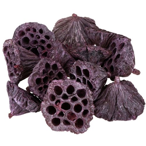 položky Lotosové kapsuly, suché kvetinárstvo, lotosová cibuľka ružová, praná biela 50 kusov