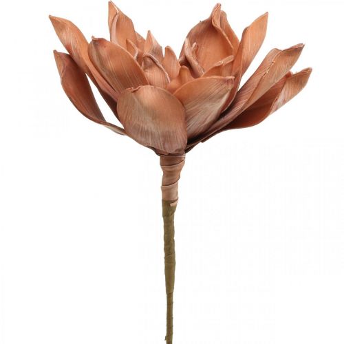 Floristik24 Lotosový kvet Umelá rastlina Umelý lotosový kvet Hnedý L64cm