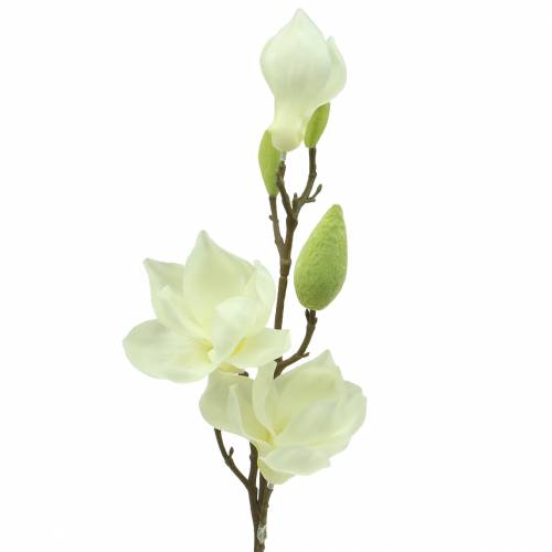 Floristik24 Magnolia Real Touch White 70cm