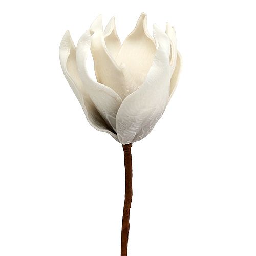 Floristik24 Kvet magnólie z molitanu sivý, biely Ø10cm L26cm 4ks