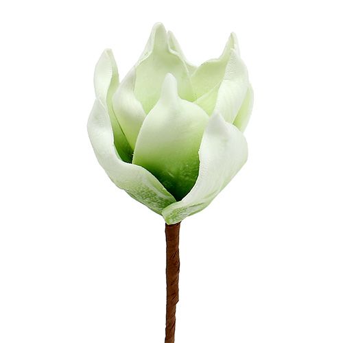 Floristik24 Kvet magnólie z molitanu bielo-zelený Ø10cm L26cm 4ks