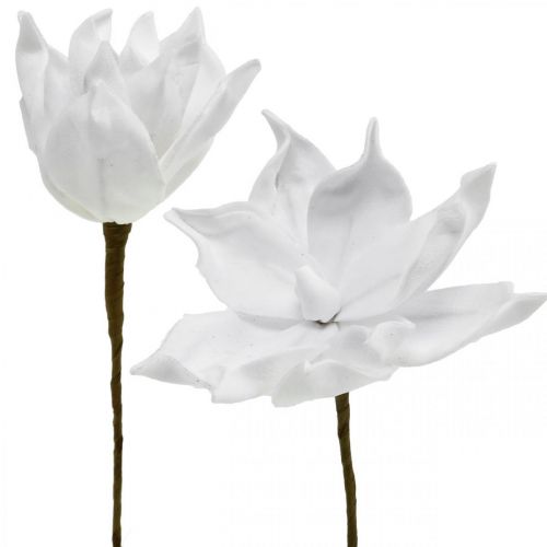Floristik24 Umelá magnólia biely umelý kvet na paličke Ø10cm Pena 6ks
