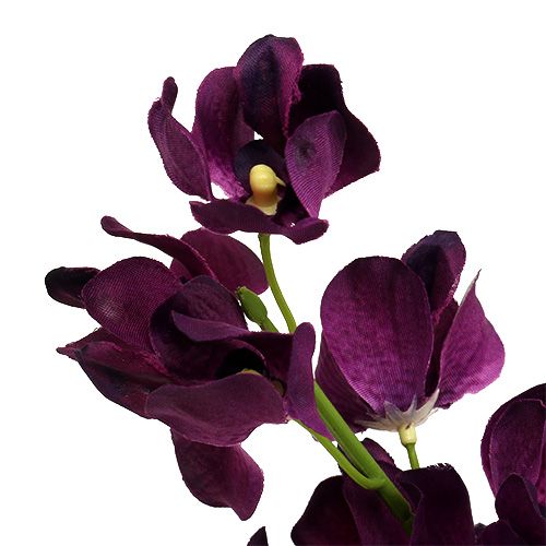 položky Mokara orchidea fialová 50cm umelá 6ks