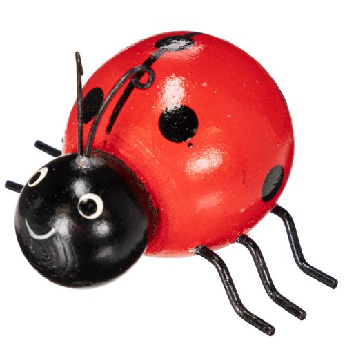 položky Drevené lienky/ploštice pre šťastie ako roztomilé dekorácie do domácnosti, 5 cm, 6 kusov