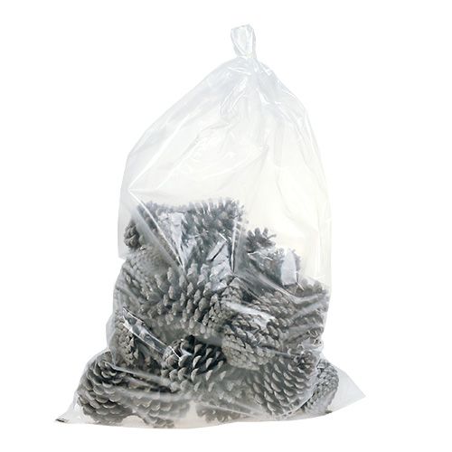 položky Maritima šišky 10cm - 14cm bielené 25 ks