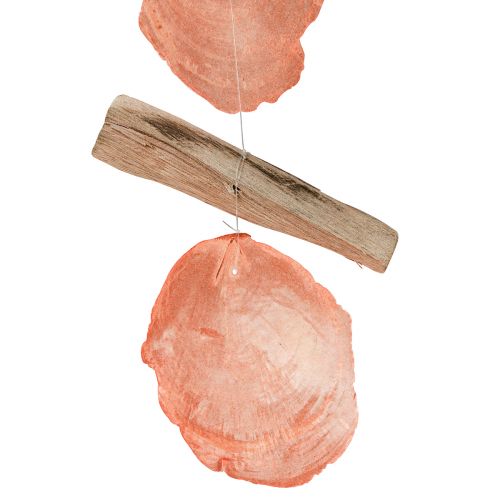 položky Námorný dekoračný vešiak Capiz mušle naplavené drevo oranžový prírodný 35cm