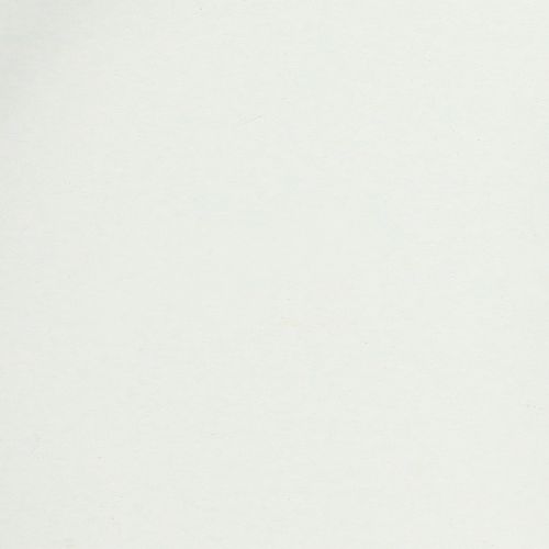 položky Tácka s praktickými úchytkami pre všestranné použitie v domácnosti a gastronómii, 22 cm