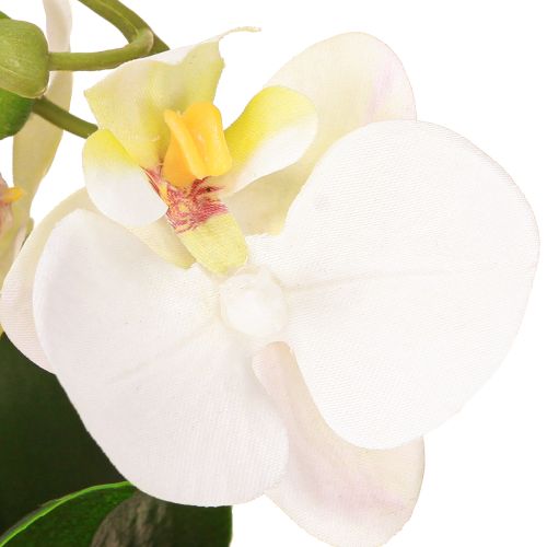 položky Mini orchidey umelé biele orchidey v kvetináči 15cm