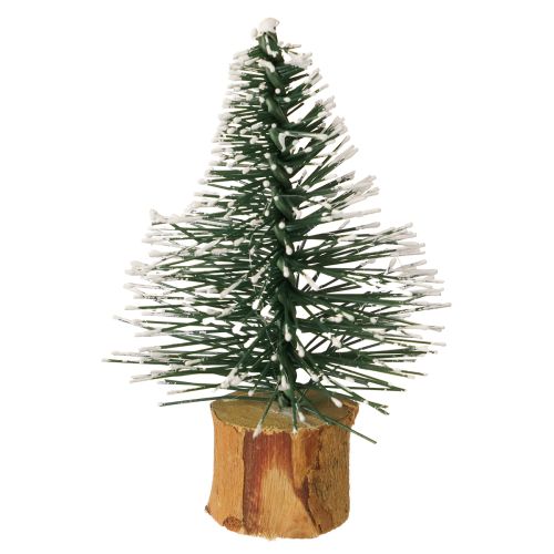 Floristik24 Mini jedličky zasnežené v zimnom lese Ø5cm V8cm 12 ks