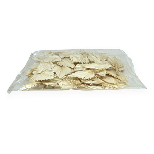 Floristik24 Palmový oštep mini krátky bielený 50 ks