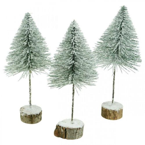 Floristik24 Dekoračné jedle, zimná dekorácia, vianočný stromček, advent V30/32cm Ø13,5cm sada 3ks