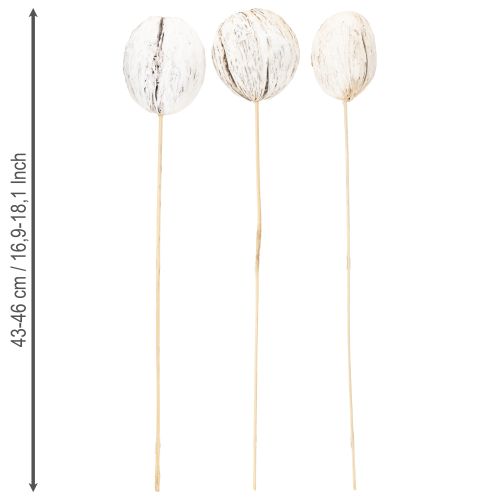 položky Mintolla gulička na palici mix obielená 6 ks