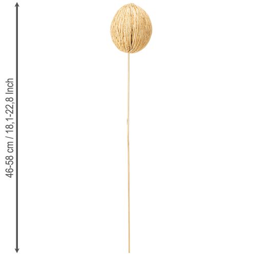 položky Mintolla loptička bielená 8cm - 10cm D46cm 6 ks