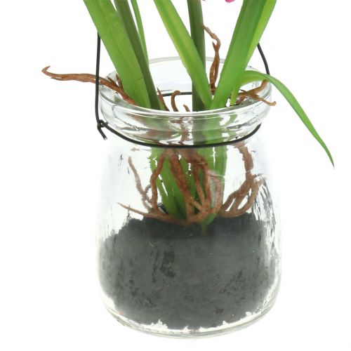 Floristik24 Mak v pohári na zavesenie Ružový V22cm