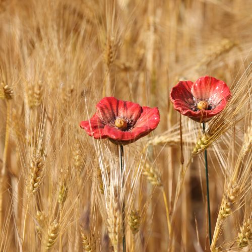 položky Keramická romantická dekorácia v tvare kvetu maku do jarnej záhrady a záhonov 31 cm, 6 ks