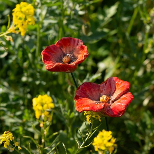 položky Záhradné ozdobné kolíky s makom, perfektný dekoratívny prvok do vašej záhrady, 42 cm, 4 kusy