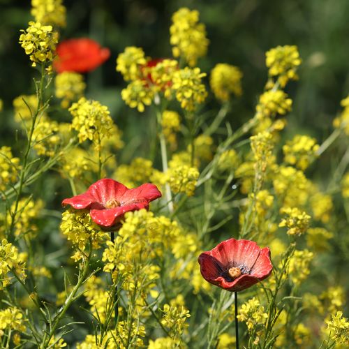 položky Keramický záhradný kolík s makom, nezvyčajný dizajn do záhonov, 52 cm, 2 kusy