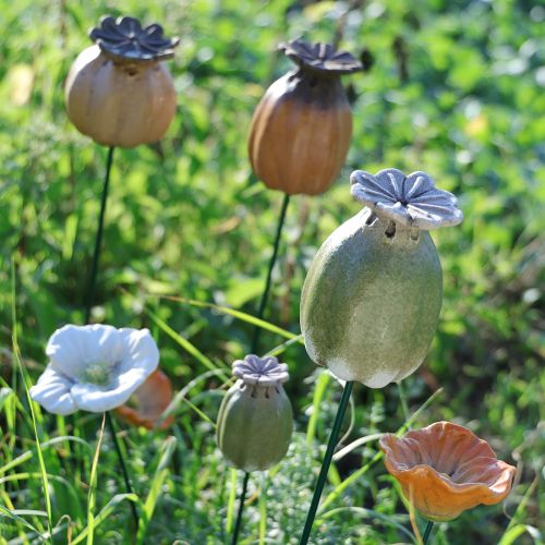 položky Záhradné dekorácie z makových semienok pre pôvabné záhradné aranžmány 60 cm 2 ks