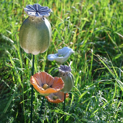 položky Záhradné dekorácie z makových semienok pre pôvabné záhradné aranžmány 60 cm 2 ks