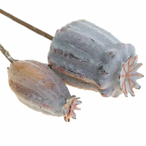 Floristik24 Umelé makové kapsuly žlté, hnedé 6ks