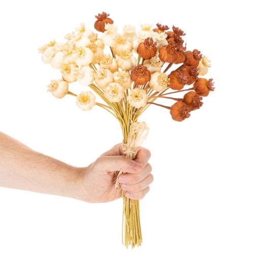 Sušené umelé makové struky, zväzok troch farieb, 40 cm, 45 kusov | Floristik24.sk