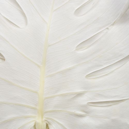 položky Dekoratívne okenné krídlo z bielených listov monstery V40cm 5 ks