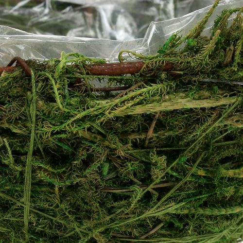 Floristik24 Machová miska zelená Ø11cm V6,5cm - 7,5cm 5ks