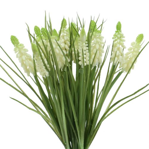 položky Zväzok hroznových hyacintov biely 30cm 15p