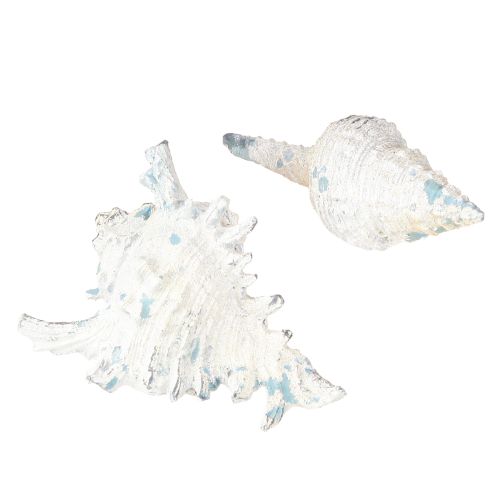položky Dekorácia lastúry Morský slimák Umelý modro-biely 11,5/13cm 2 ks