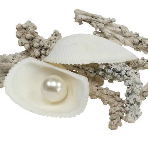 položky Shell Mix with Pearl and Wood White 200g