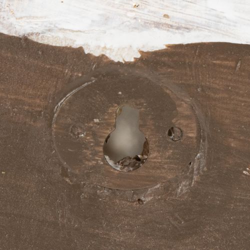 položky Dekoratívna nádoba v tvare slimáka pre námornícky a prírodný nástenný dizajn, sivá, 21 cm