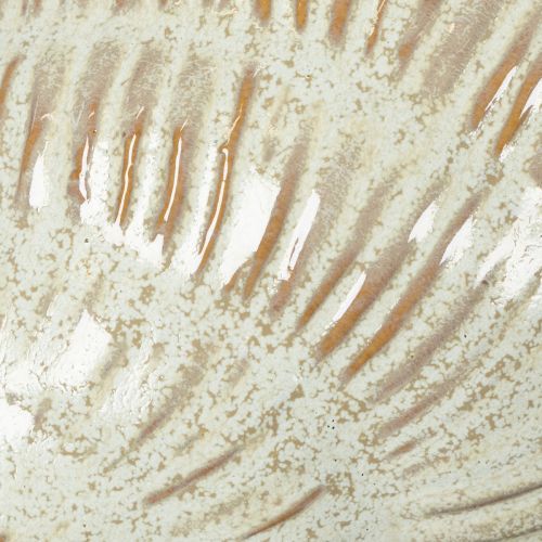 položky Keramická miska s motívom mušle pre elegantnú dekoráciu v obývačke, 23 cm