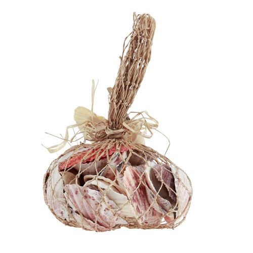 položky Dekorácia mušlí skutočné mušle rôzne druhy 300g