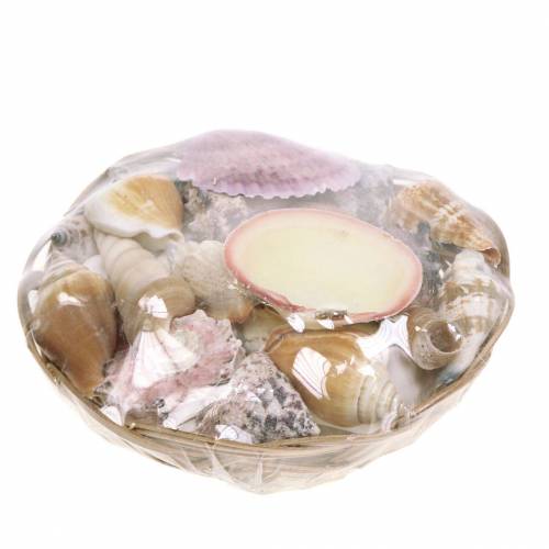 Floristik24 Zmes mušlí v košíku príroda Ø15cm 420g